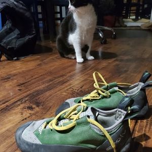 Evolv rock climbing shoes